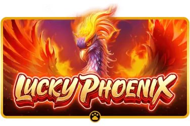 kfc99